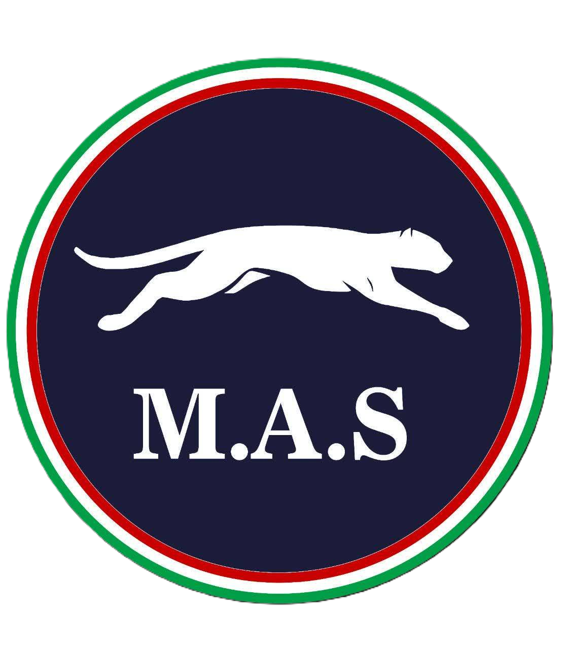 لوگو